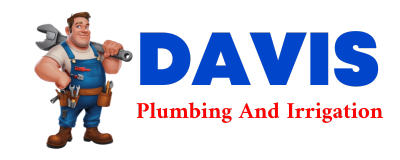 Trusted plumber in STURKIE